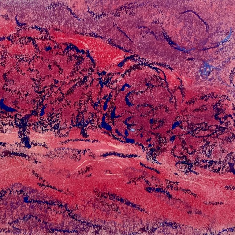 Vesna Parun: Koralj vraćen Međimurju