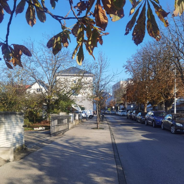 Vlado Martek: Lumumba